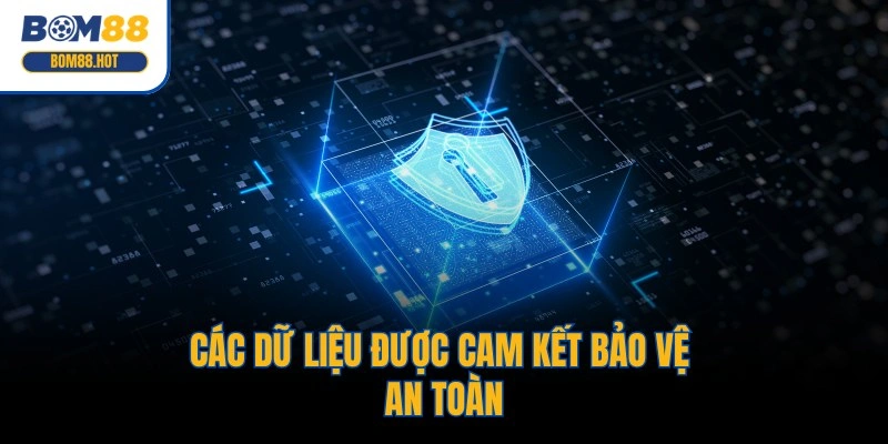 Các dữ liệu được cam kết bảo vệ an toàn