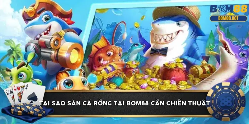 meo ban ca rong bom88 5 ky thuat no hu x1000 von 2026 6a07cb5dc8161